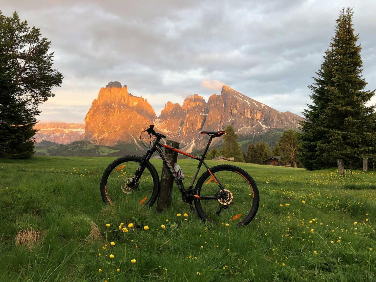 Saltria - your Alpine experience Alpe Di Siusi Exterior foto